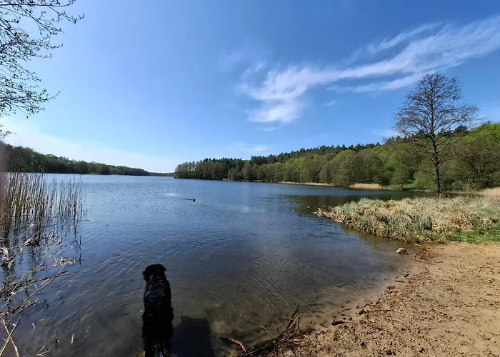 Na Kociewiu Mia Prázdninový dům Bozepole Krolewskie